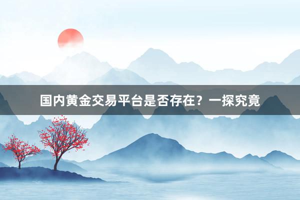 国内黄金交易平台是否存在？一探究竟